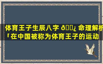 体育王子生辰八字 🌿 命理解析「在中国被称为体育王子的运动 🍀 员是谁」